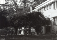 Peste, Madagascar, bâtiment IP, 1957