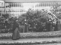 Trois soeurs devant la serre de l'Hôpital Pasteur, 1900-1930