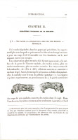 Page extraite de "Etudes sur la maladie des vers à soie." par Louis Pasteur