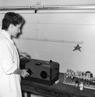 Expériences dans le "grenier", Service de Physiologie microbienne en 1954