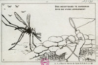 Carte postale tirée de la série "Le Moustique voilà l'ennemi ! ..."