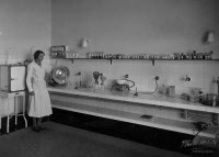 Chercheur travaillant dans un laboratoire de l'Institut Pasteur du Maroc, 1934