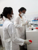 Doctorants préparant des échantillons pour analyse en spectrométrie de masse. Institut Pasteur de Madagascar en 2013.