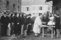 Prélèvement de sang chez un cheval immunisé contre la toxine diphtérique (1900)