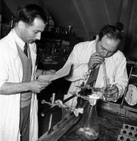 Howard Rickenberg et Georges Cohen et manipulant au "Grenier" de l'Institut Pasteur fin 1954
