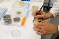 Cours de Mycologie médical à l'Institut Pasteur