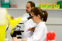 Travaux pratiques au cours de Mycologie médicale le 1er avril 2015.