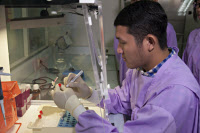 Laboratoire de l'Institut Pasteur du Cambodge - Projet "South-East Asia Encephalitis" en 2015