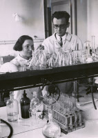 Laboratoires de la tuberculose à l'Institut Pasteur.