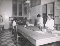 Laboratoires de la tuberculose de l'Institut Pasteur. Conditionnement, emballage et expédition du BCG vers 1932.