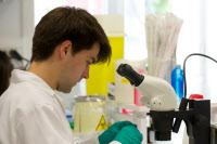 Travaux pratiques au cours « Advances in Stem Cell Biology » le 2 juillet 2015