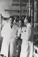 François Jacob, Jacques Monod et André Lwoff, le jour de l'annonce du Prix Nobel dans le laboratoire de Jacques Monod le 14 octobre 1965