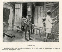 Campagne de dédétisation en Guyane en 1949