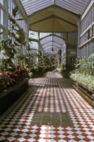 Vue de la serre de l'hôpital Pasteur en juillet 1971