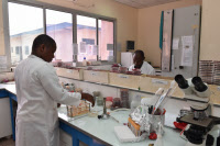 Laboratoire de Bactériologie au Centre Pasteur du Cameroun.