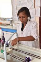 Laboratoire de Bactériologie au Centre Pasteur du Cameroun.