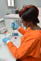 Laboratoire de biochimie, Centre Pasteur du Cameroun.