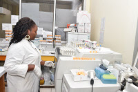 Laboratoire de biochimie au Centre Pasteur du Cameroun.