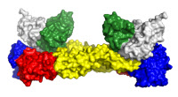 Structure 3D de la protéine d'enveloppe du virus Zika
