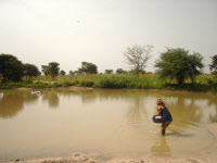Mission malacologie au Niger en 2008