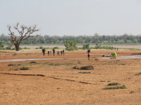 Projet TONIRA au Niger en juillet 2015.