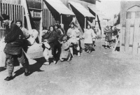 Epidémie de peste en Mandchourie en 1911