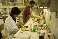 Laboratoire - Institut Pasteur-Fondation Cenci Bolognetti