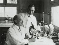 Edmond et Étienne Sergent à l'Institut Pasteur d'Alger en 1933