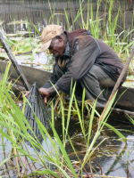 Etude anthropologique sur l'ulcère de Buruli dans la région d'Akonolinga au Cameroun en 2013