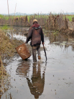 Etude anthropologique sur l'ulcère de Buruli au Cameroun en 2013