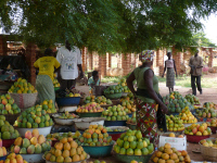 Marché des mangues à Toussiana, Burkina Faso