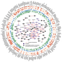 Cartographie des gènes de vulnérabilité à l'autisme sur l'ensemble du génome.