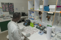 Institut Pasteur de Côte d'Ivoire