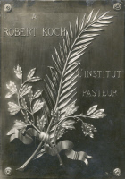 Plaque Robert Koch