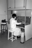 Laboratoire à l'Institut Pasteur de Tunis vers 1995