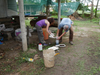 Mission entomologique à Maripasoula, Guyane, en 2016