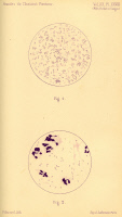 Le Microbe de la coqueluche Par les Dr J. Bordet et O. Gengou