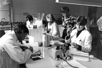 Cours de microbiologie générale à l'Institut Pasteur en 1983.