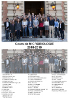 Cours Pasteur - Microbiologie 2018-2019