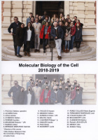 Cours Pasteur - Molecular biology of the cell 2018-2019