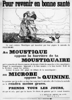 Affiche de la 1ere guerre mondiale : moustiquaire et quinine