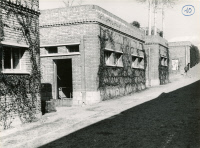 Institut Pasteur de l'Iran 1953