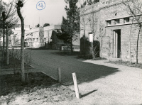 Institut Pasteur de l'Iran 1953