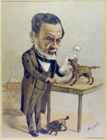 Caricature de Louis Pasteur travaillant sur la rage dans son laboratoire
