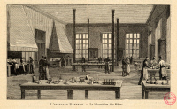 "L'Institut Pasteur - Le laboratoire des élèves"