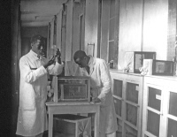 Laboratoire de l'Institut Pasteur de Dakar vers 1925.
