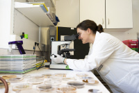 Centre national de référence des Mycoses invasives et antifongiques à l’Institut Pasteur