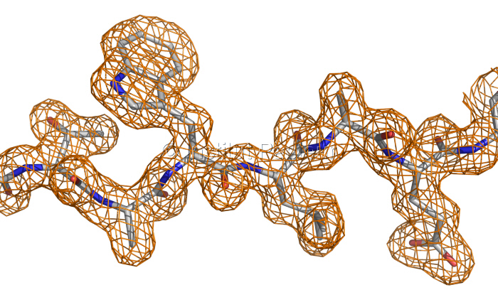 Détail d'une structure de protéine determinée par cristallographie