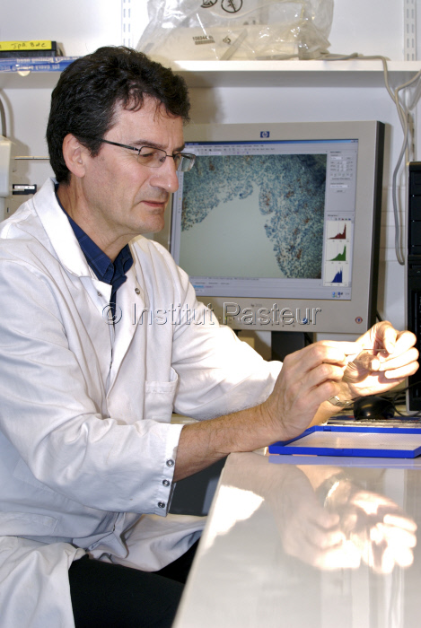 Pr Philippe Sansonetti dans son laboratoire en 2008