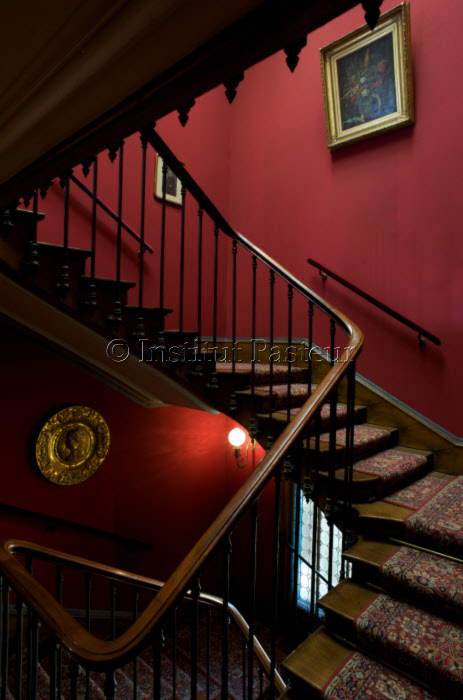 L'escalier - Appartement de Pasteur